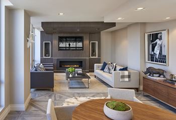 Fireplace Living Area at Elysium Fourteen, Washington, DC